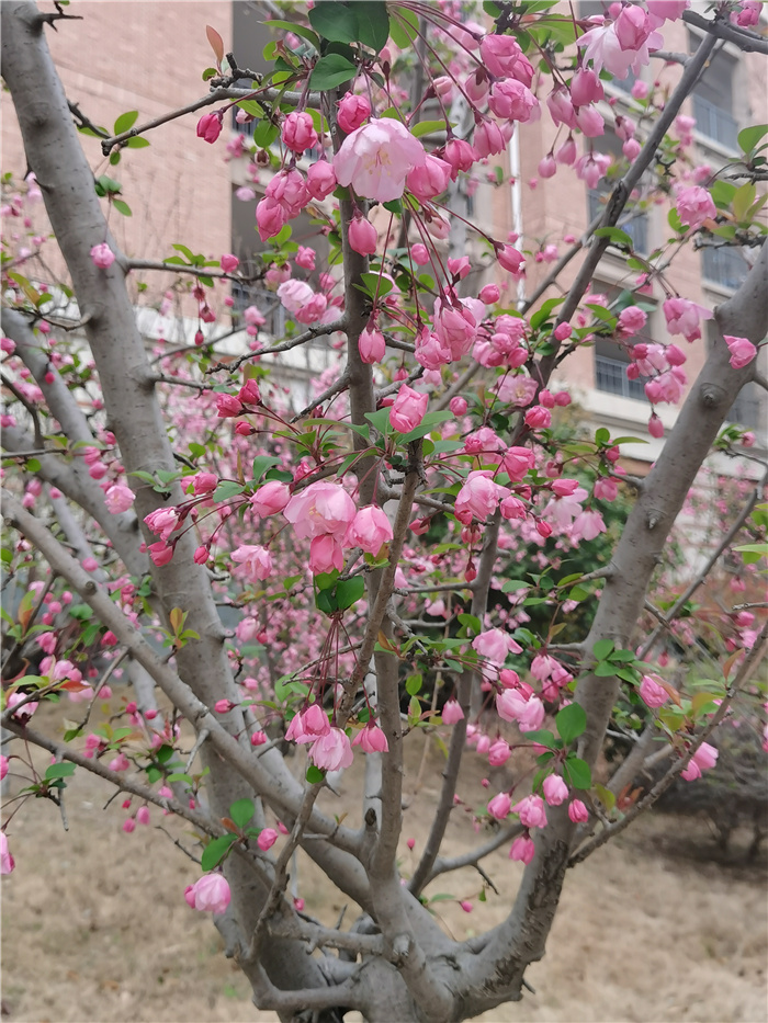 教務處：欣賞·陪伴·感嘆(圖2)