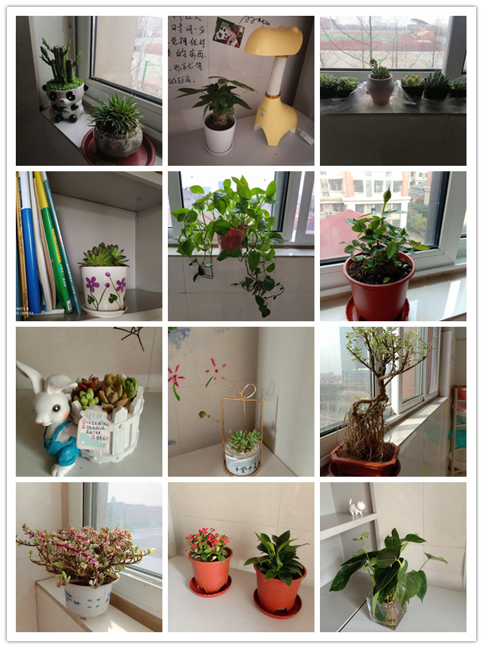 生活部:我和春天有一個(gè)“約會(huì)”(圖2)