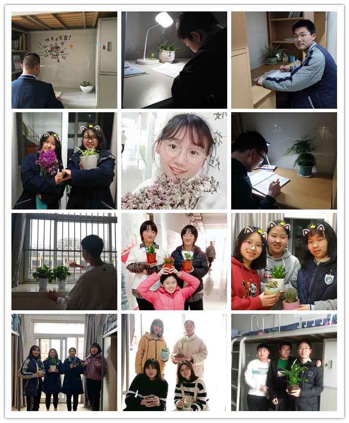 生活部:我和春天有一個(gè)“約會(huì)”(圖3)