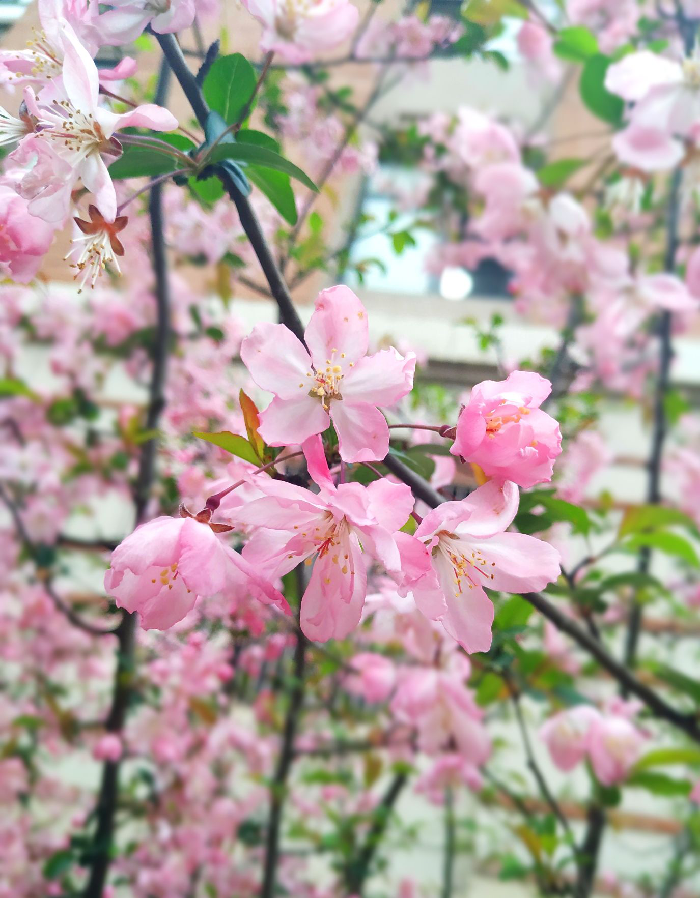 教務(wù)處:無奮斗不青春(圖4)