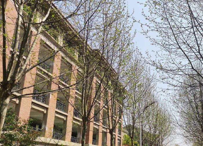 教務(wù)處:不負(fù)春光 砥礪前行(圖1)