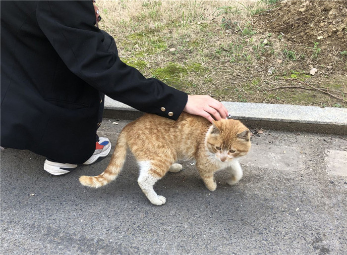 教務(wù)處：新發(fā)現(xiàn)，新美好(圖4)