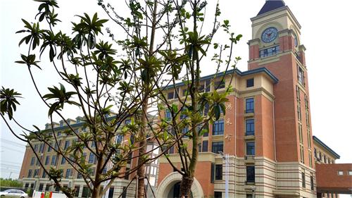 合肥七中高新校區(qū)樓宇、道路、景觀等命名名稱(圖7)