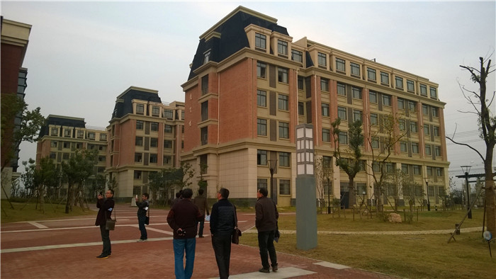 德育研討精彩紛呈 校際交流友誼綻放(圖11)