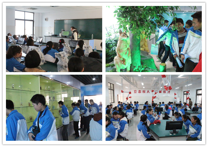 夢園中學師生來我校參觀交流(圖5)