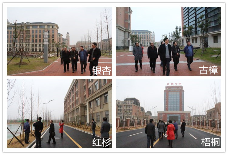 四季花開春常在，校際交流促發(fā)展(圖5)