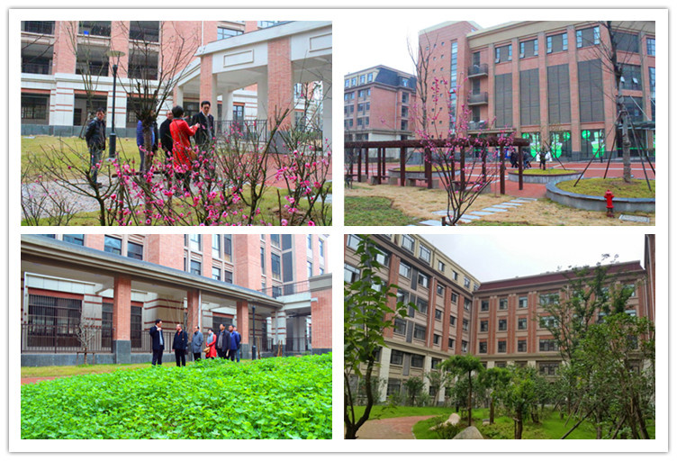 四季花開春常在，校際交流促發(fā)展(圖6)