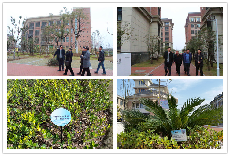 四季花開春常在，校際交流促發(fā)展(圖8)