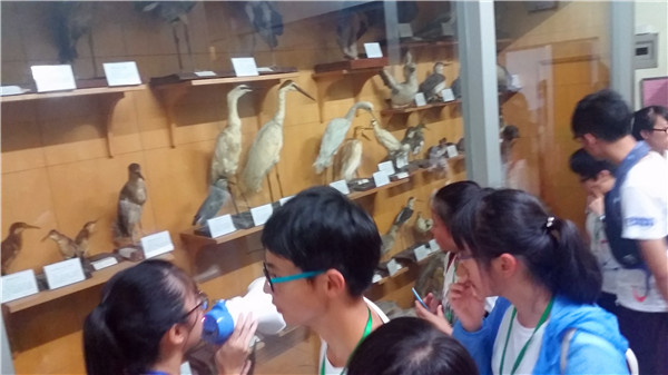 盛夏，遇見(jiàn)最美的校園(圖6)