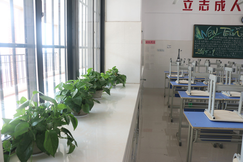 建設(shè)美好班級，展示真我風(fēng)采(圖3)