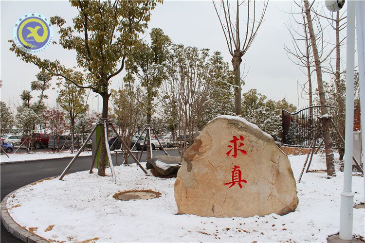 雪園“石頭記”，最美是氣質(zhì)(圖2)