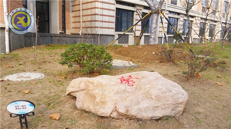 雪園“石頭記”，最美是氣質(zhì)(圖5)