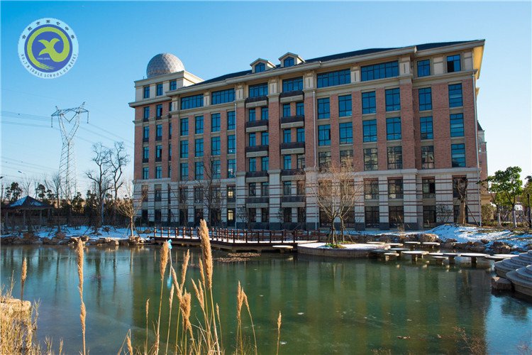 雪園“石頭記”，最美是氣質(zhì)(圖9)