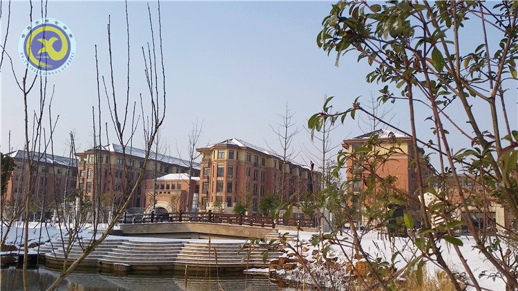 雪園“石頭記”，最美是氣質(zhì)(圖10)