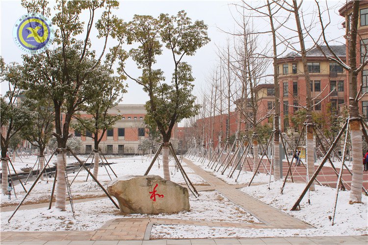 雪園“石頭記”，最美是氣質(zhì)(圖11)