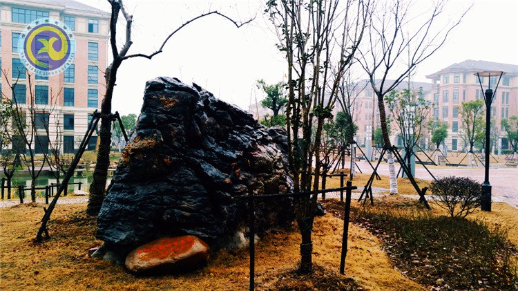 雪園“石頭記”，最美是氣質(zhì)(圖12)