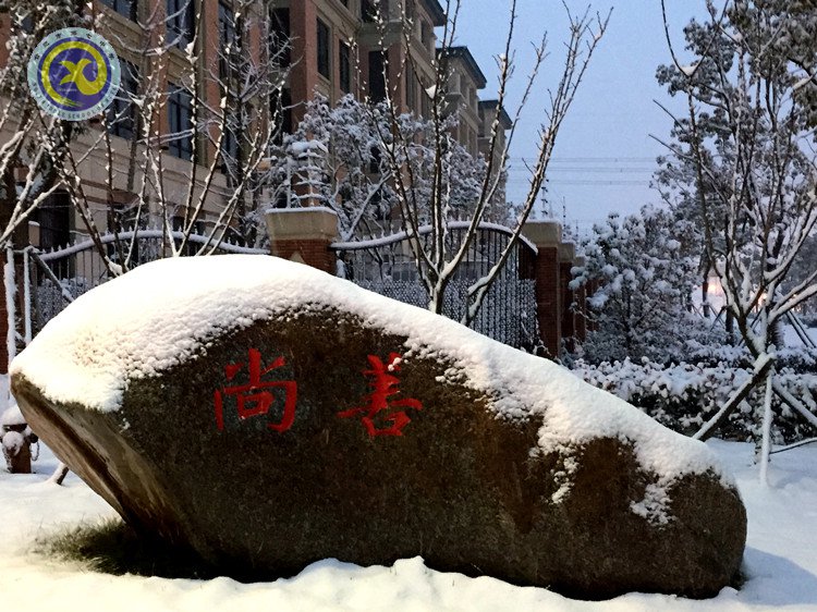 雪園“石頭記”，最美是氣質(zhì)(圖3)