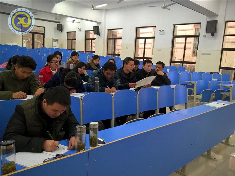 同課異構(gòu)展風(fēng)采，專家指導(dǎo)促成長(圖6)