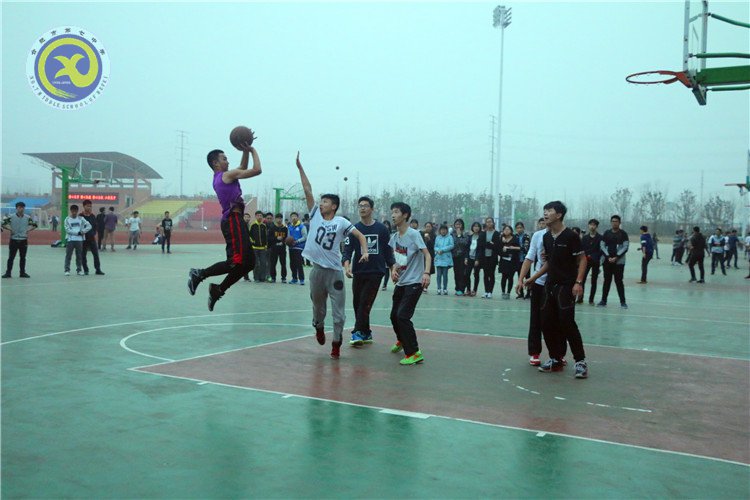 舉手投足傳遞你我信任 奮力拼搏彰顯合七精神(圖1)