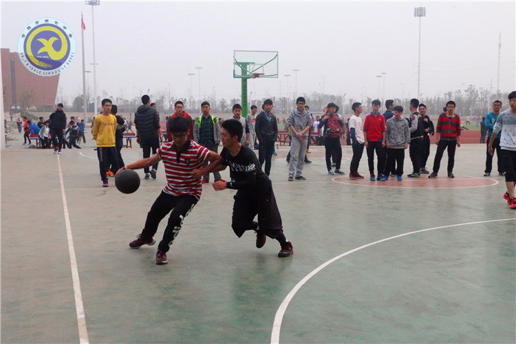 舉手投足傳遞你我信任 奮力拼搏彰顯合七精神(圖2)