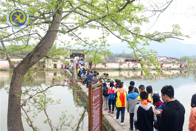 最是一年春好處，少年尋夢(mèng)到徽州(圖5)