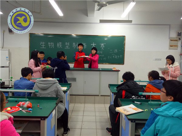 制作生物模型 體驗生命奧秘(圖1)