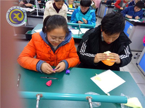 制作生物模型 體驗生命奧秘(圖2)