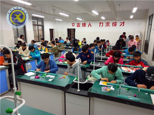 制作生物模型 體驗生命奧秘(圖3)