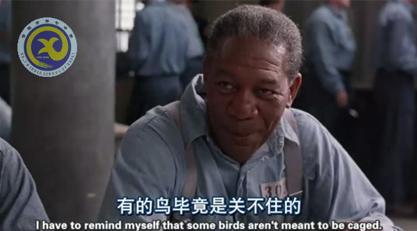 暢享視聽之趣，延伸課堂之美(圖2)