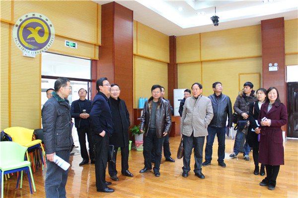 春來百花開，花香蝶自來(圖5)