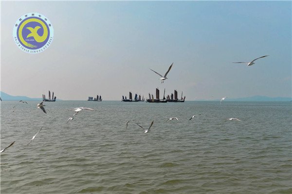 壯志少年遠(yuǎn)游學(xué) 櫻花微雨趁春光(圖4)