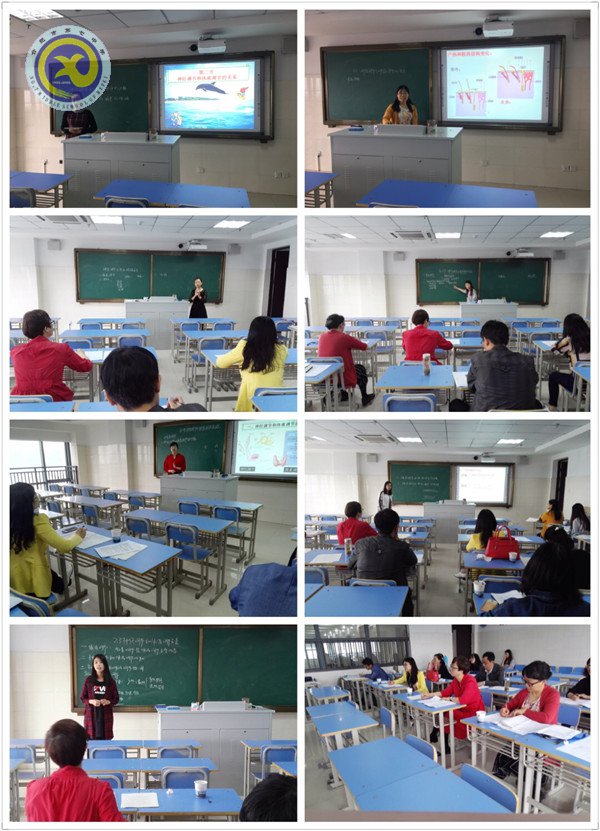 賽出水平，賽出成長(圖1)