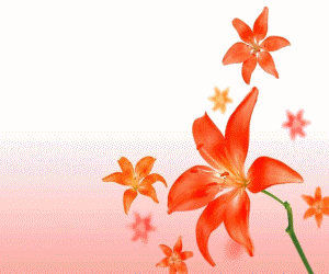 合肥市第七中學(xué)·農(nóng)興中學(xué)合作共建 簡報(bào)(圖2)