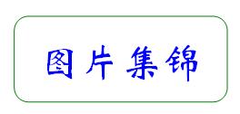 合肥市第七中學(xué)·農(nóng)興中學(xué)合作共建 簡報(bào)(圖6)