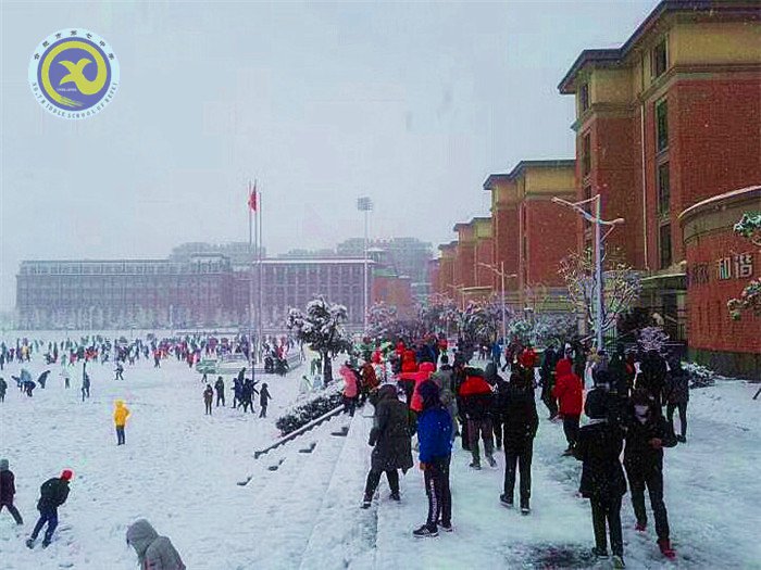 梅雪盼冬來，微笑迎春歸(圖7)