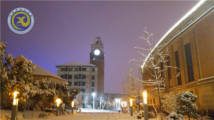 梅雪盼冬來，微笑迎春歸(圖12)