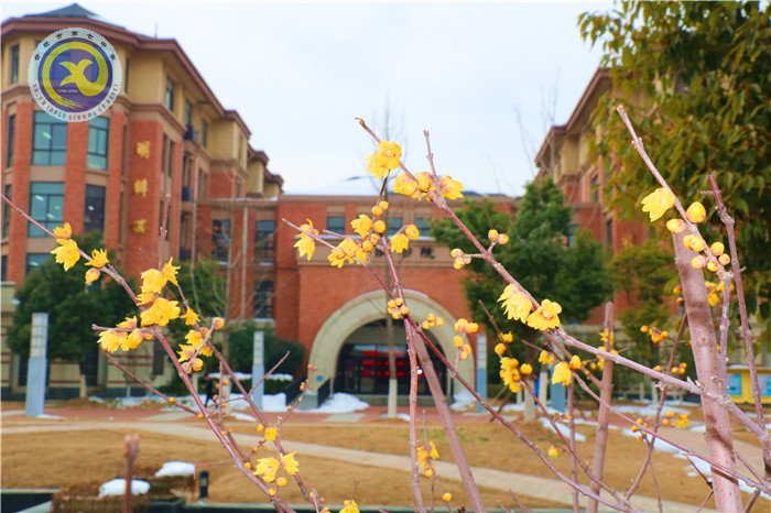 梅雪盼冬來，微笑迎春歸(圖2)