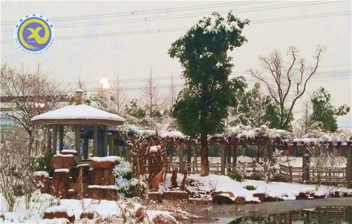 梅雪盼冬來，微笑迎春歸(圖8)