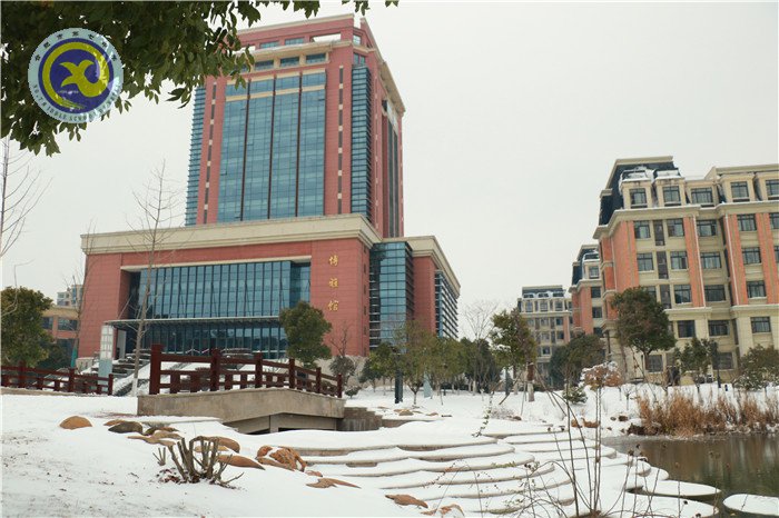 除雪清路暖人心 冰雪天氣見真情(圖1)