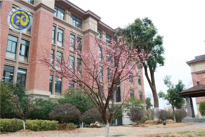 春暖花開迎開學(xué)，統(tǒng)籌各方新起航(圖9)