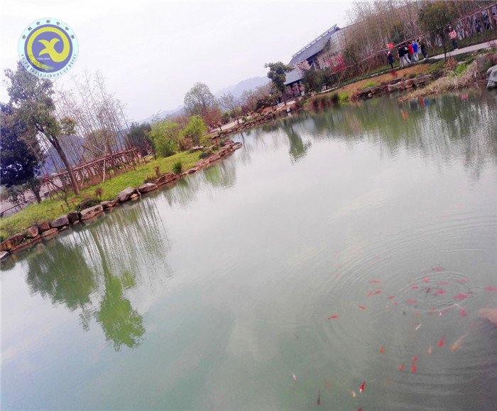 讀萬卷書，行萬里路(圖2)