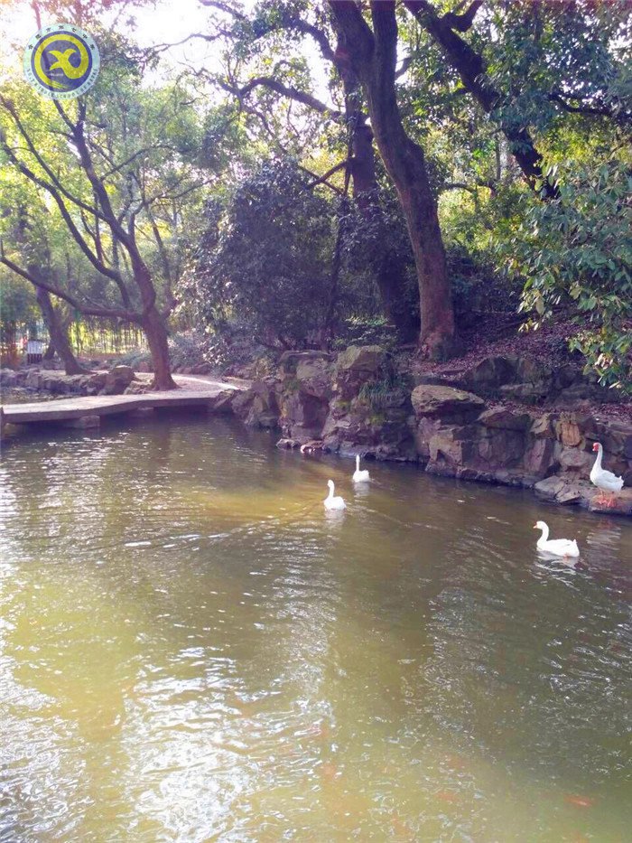 賞流觴曲水, 品魏晉風(fēng)度(圖2)