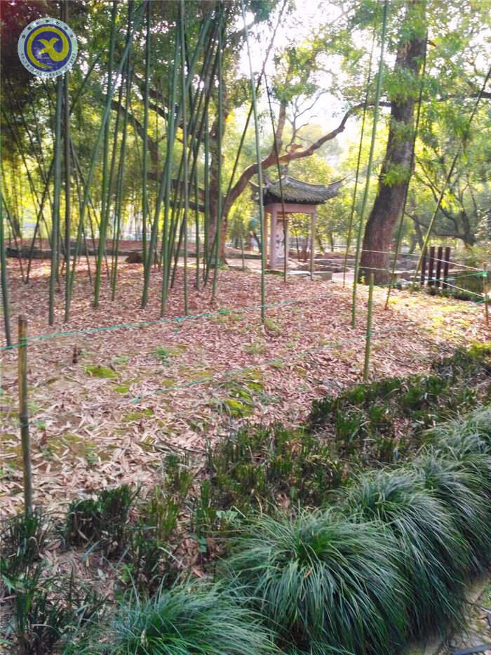 賞流觴曲水, 品魏晉風(fēng)度(圖3)