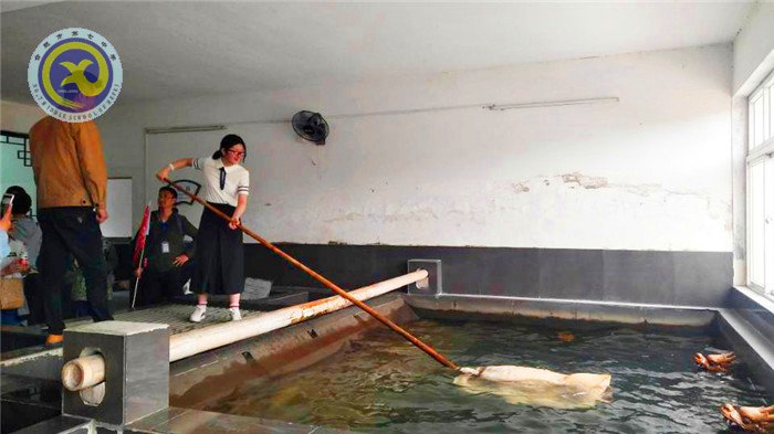 重溫新四軍精神,走進(jìn)宣紙文化(圖4)