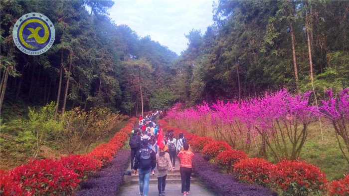 步入春和景明 攜手皖南同行(圖2)