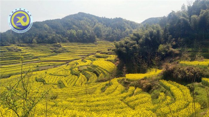 徽風(fēng)皖韻，盡在宏村(圖1)