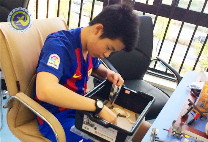 合肥七中機(jī)器人隊(duì)喜獲佳績(jī)(圖9)