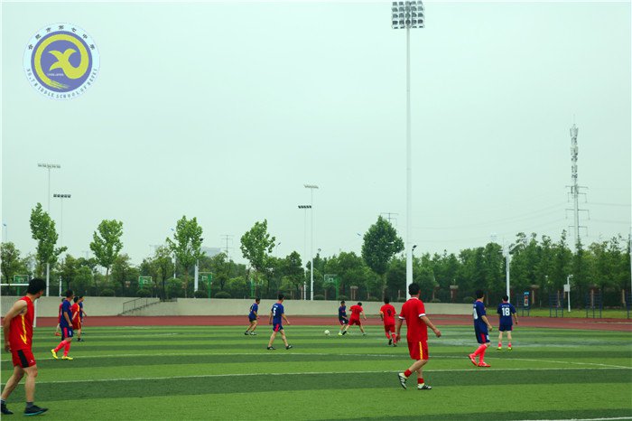 以球會友，情誼長存(圖3)