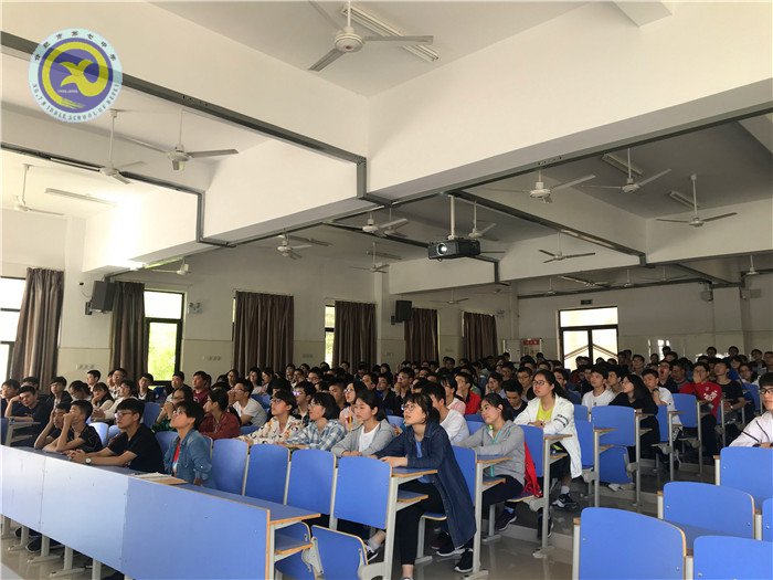 流彩五月 和雅七中(圖54)