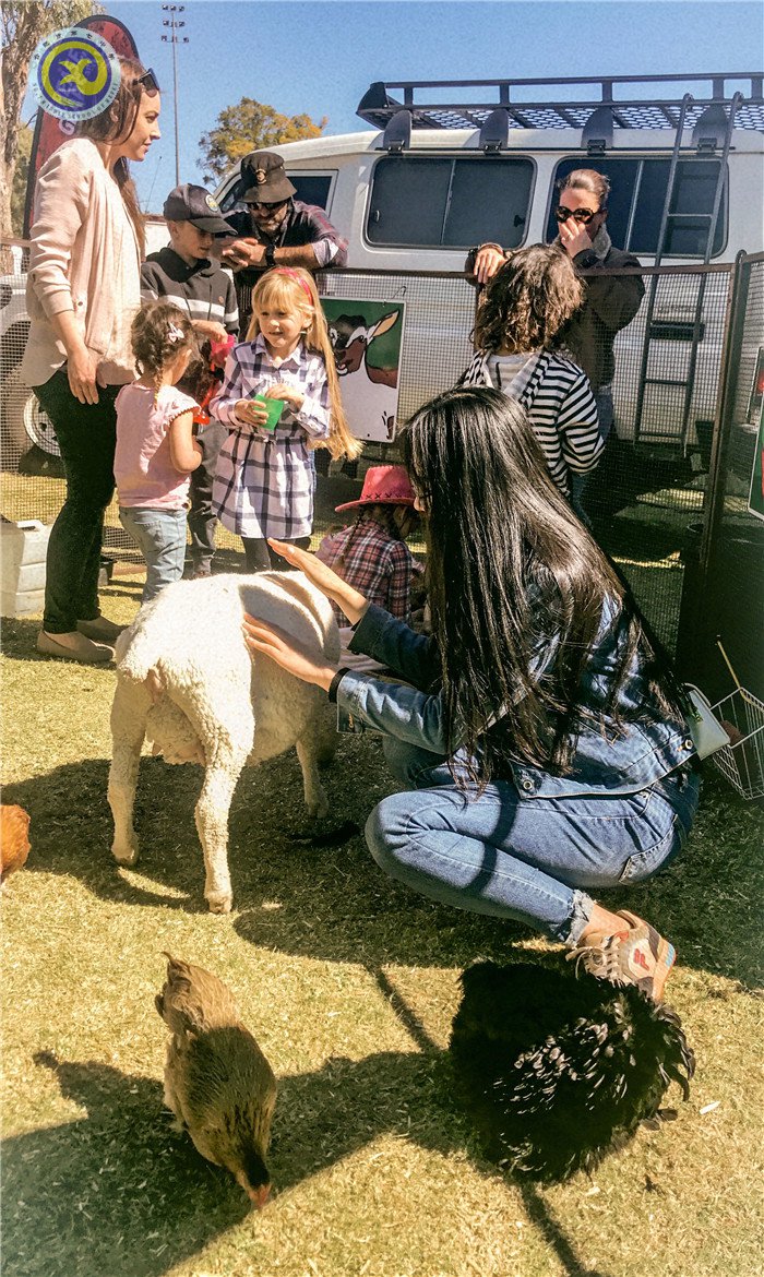 29天澳洲教育體驗(yàn)之我見(jiàn)(圖11)